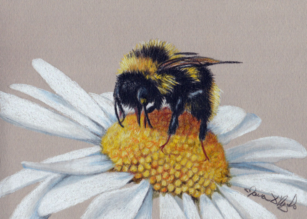bumble and daisy 2