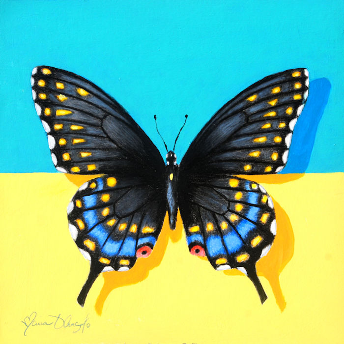 butterfly - black swallowtail