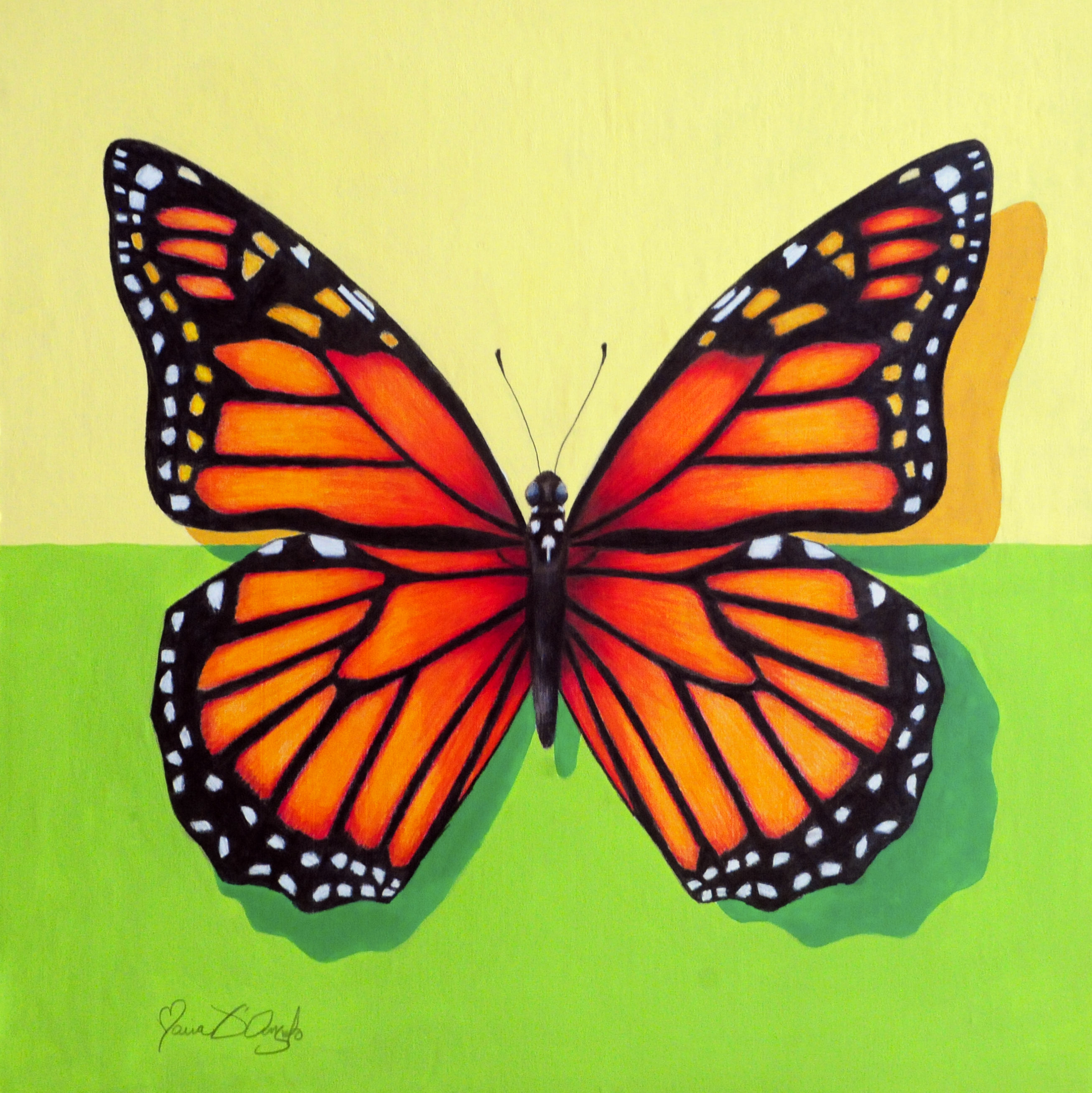 butterfly - female monarch 20x20