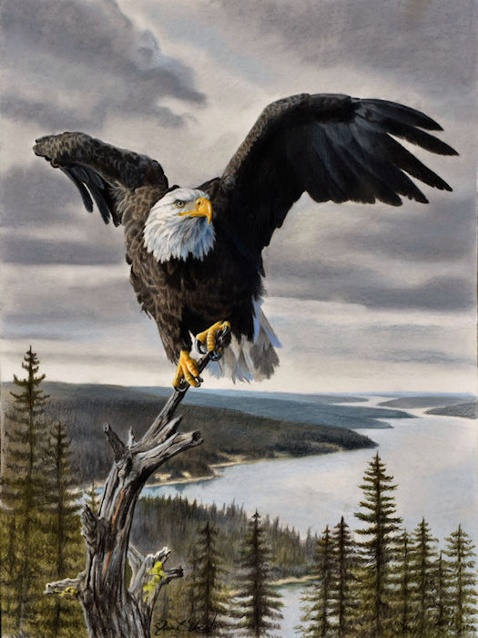 Flight 250