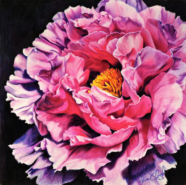 sarah bernhardt peony