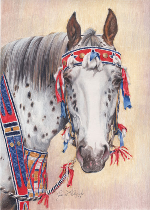 spirit of the plateau