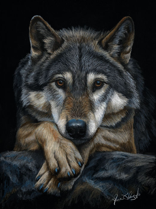 when silence speaks