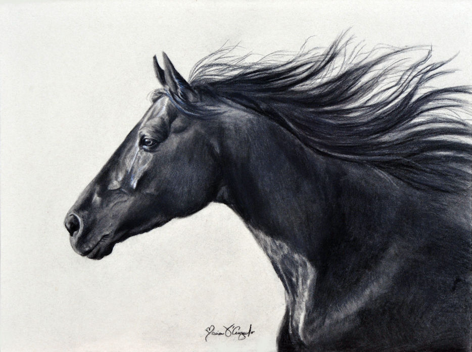 windswept